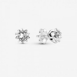 Star sterling silver stud earrings with  - 290023C01