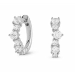 Earrings JARDIN - JSBE04468JWRHT-U