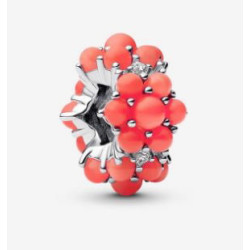 Charm Océano de Color Coral