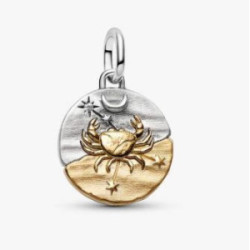 Charm Medallón Zodiaco Cáncer