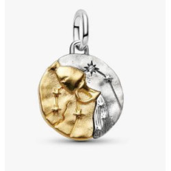 Charm Medallón Zodiaco Acuario